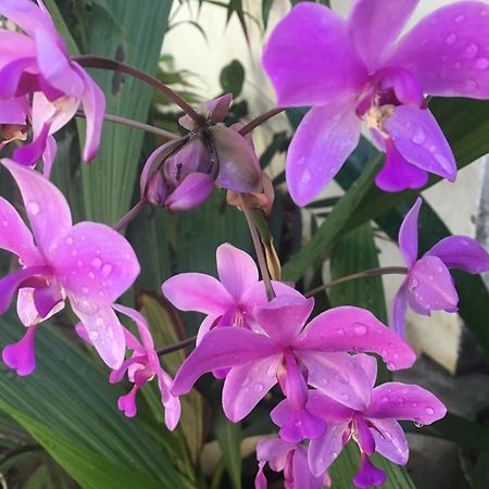 Homestay Vuon Nhan Pleiku Bagian luar foto