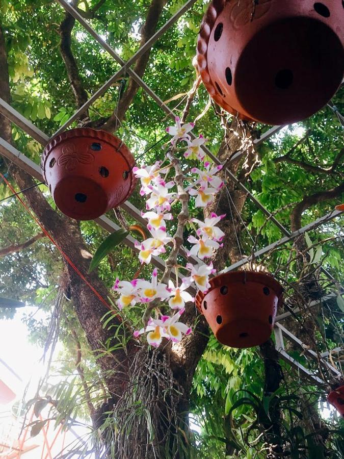 Homestay Vuon Nhan Pleiku Bagian luar foto